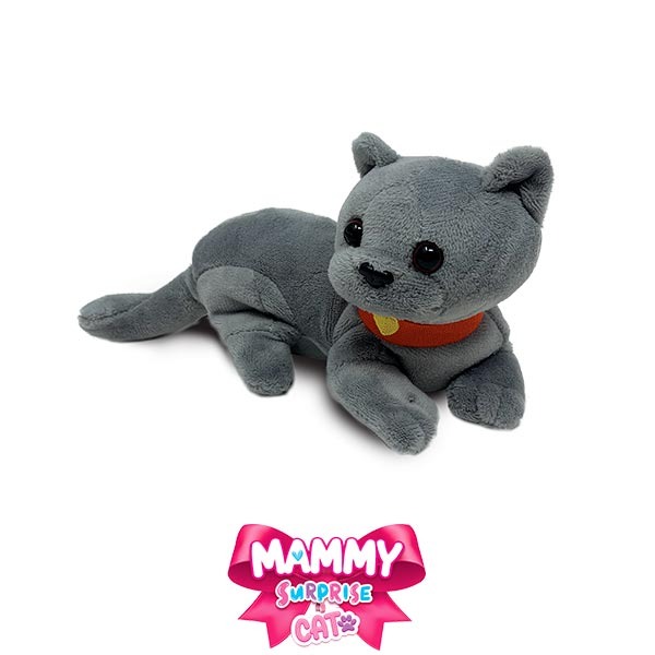 Visuel N°4 du produit rappelé