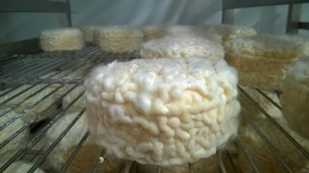 Visuel N°1 du produit rappelé