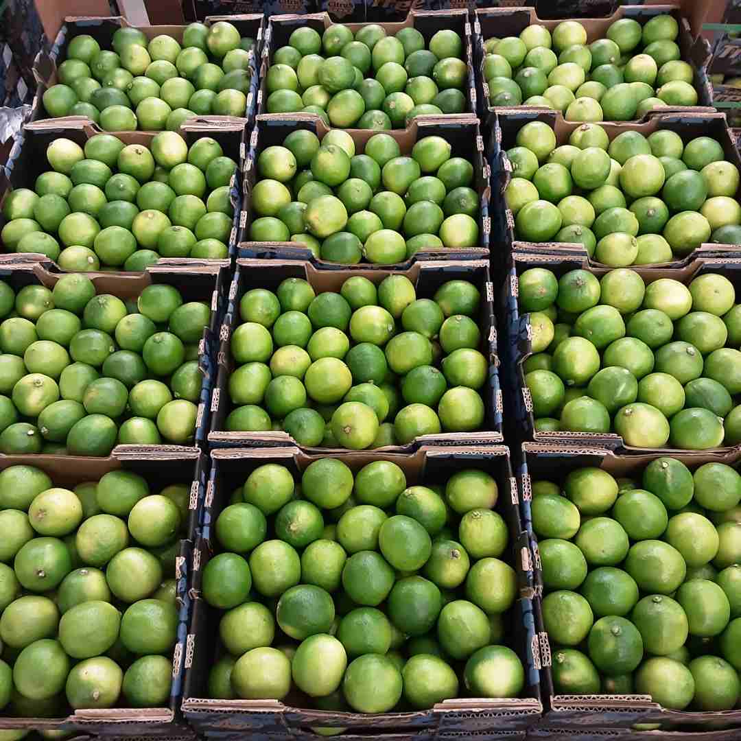 Visuel N°3 du produit rappelé