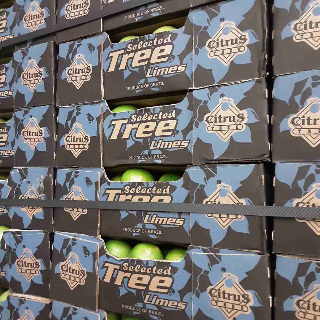 Visuel N°2 du produit rappelé