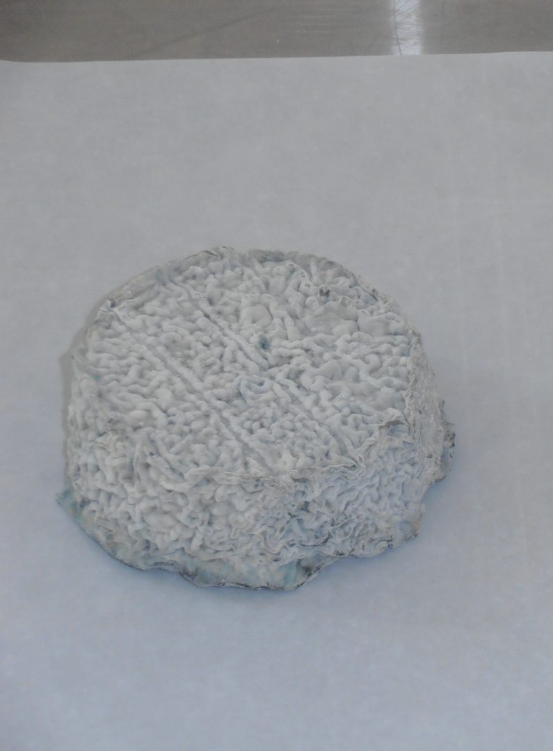 Visuel N°4 du produit rappelé