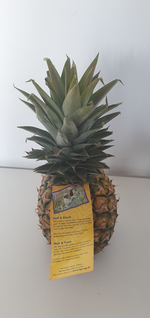 Visuel N°1 du produit rappelé