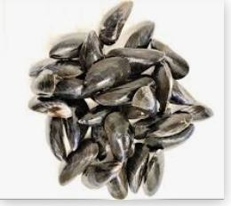 Visuel N°3 du produit rappelé : COQUILLAGES FILTREURS DE L'ETANG DE THAU (Huitres-Moules-Palourdes)