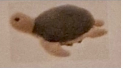 Visuel N°4 du produit rappelé