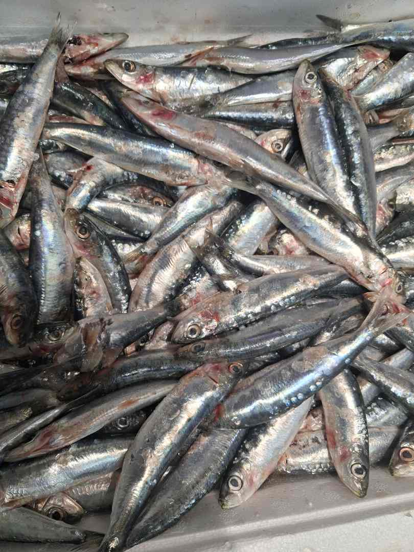 Visuel N°1 du produit rappelé