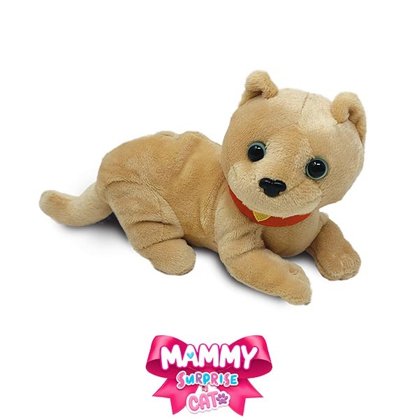 Visuel N°2 du produit rappelé