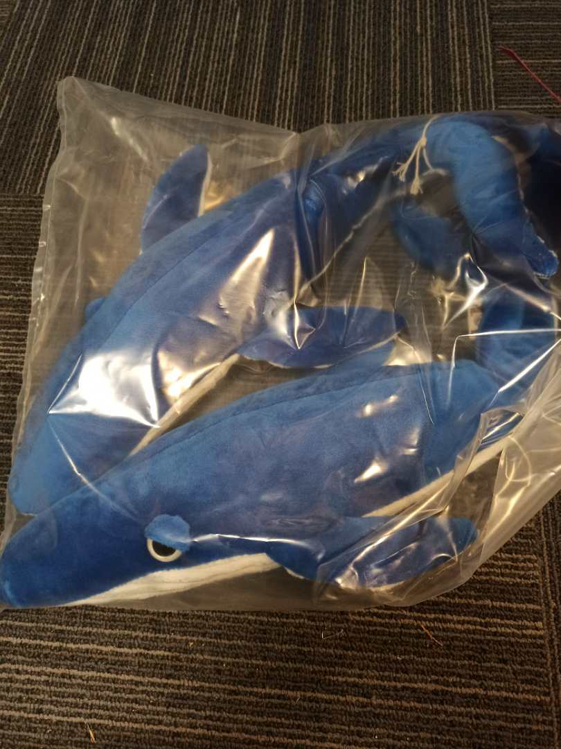 Visuel N°1 du produit rappelé