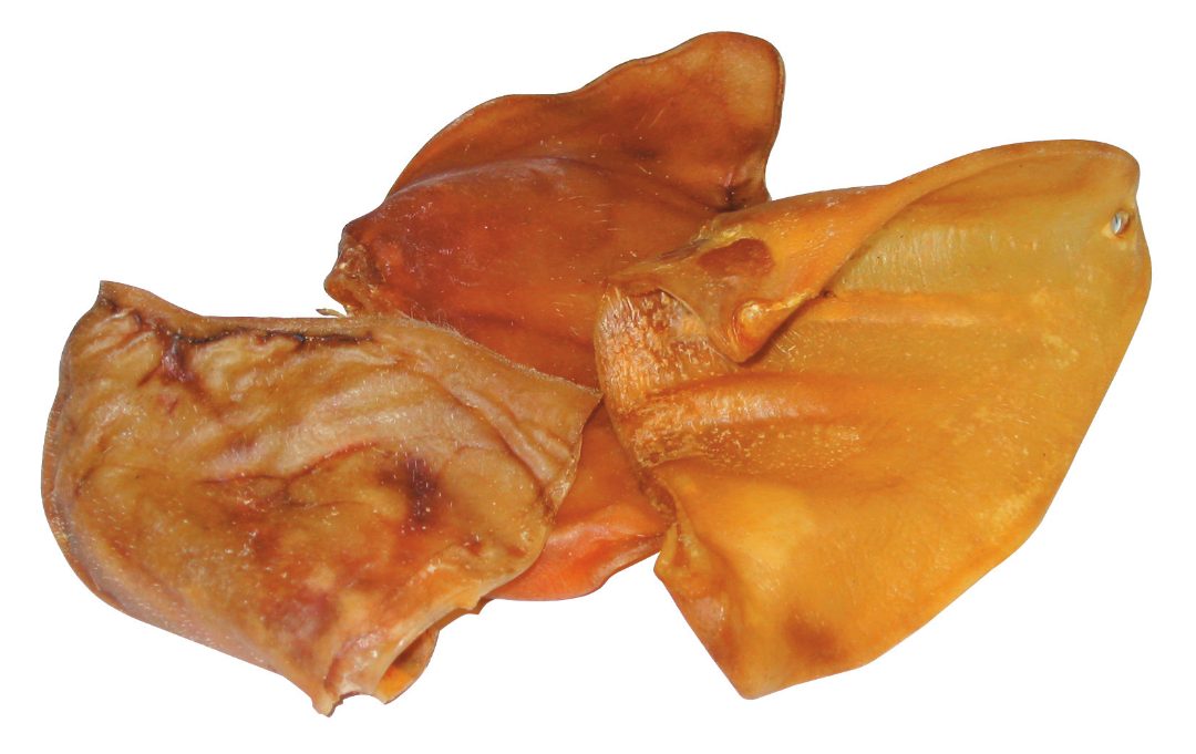 Visuel N°1 du produit rappelé