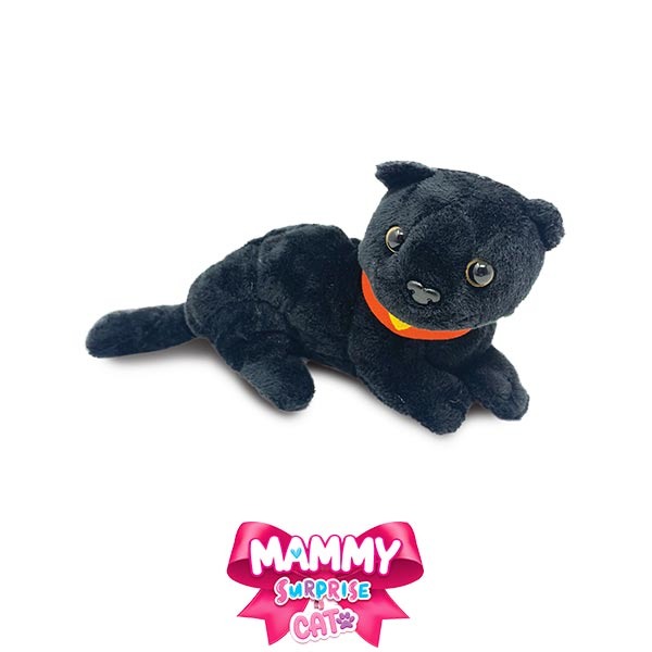 Visuel N°1 du produit rappelé