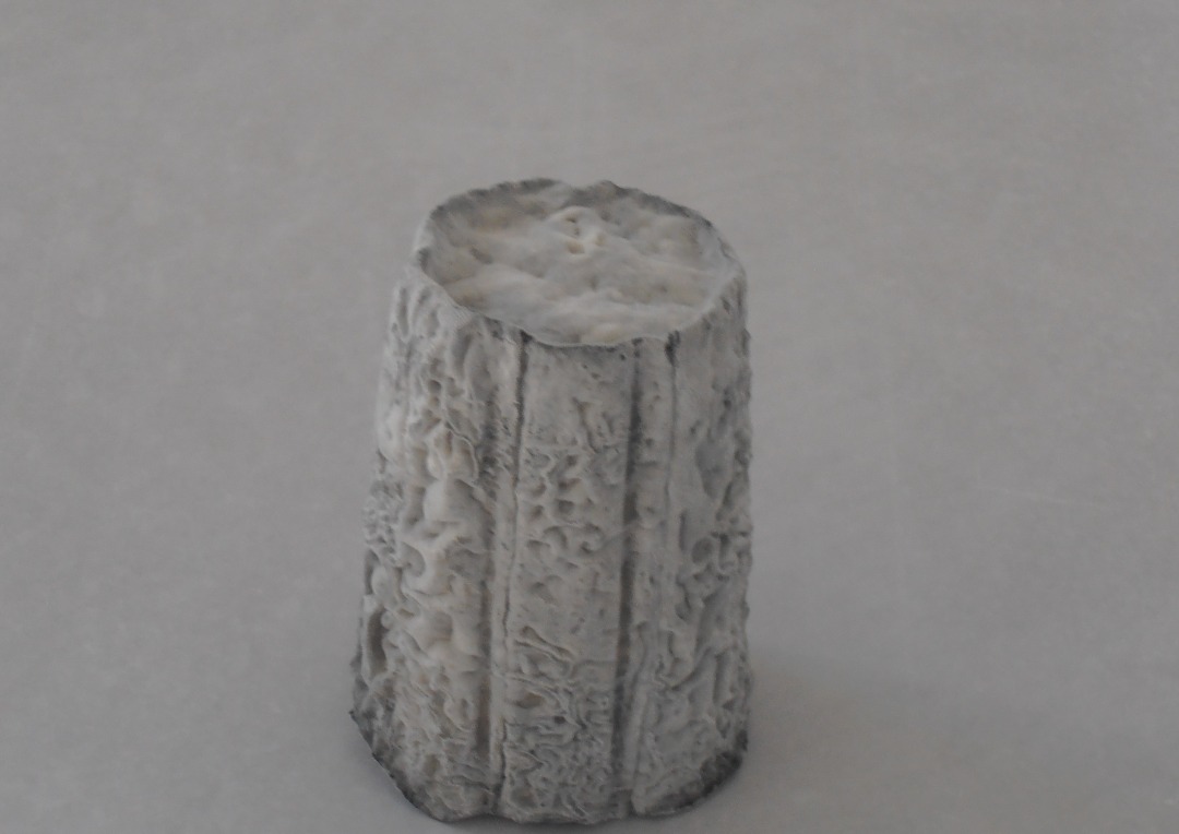 Visuel N°1 du produit rappelé