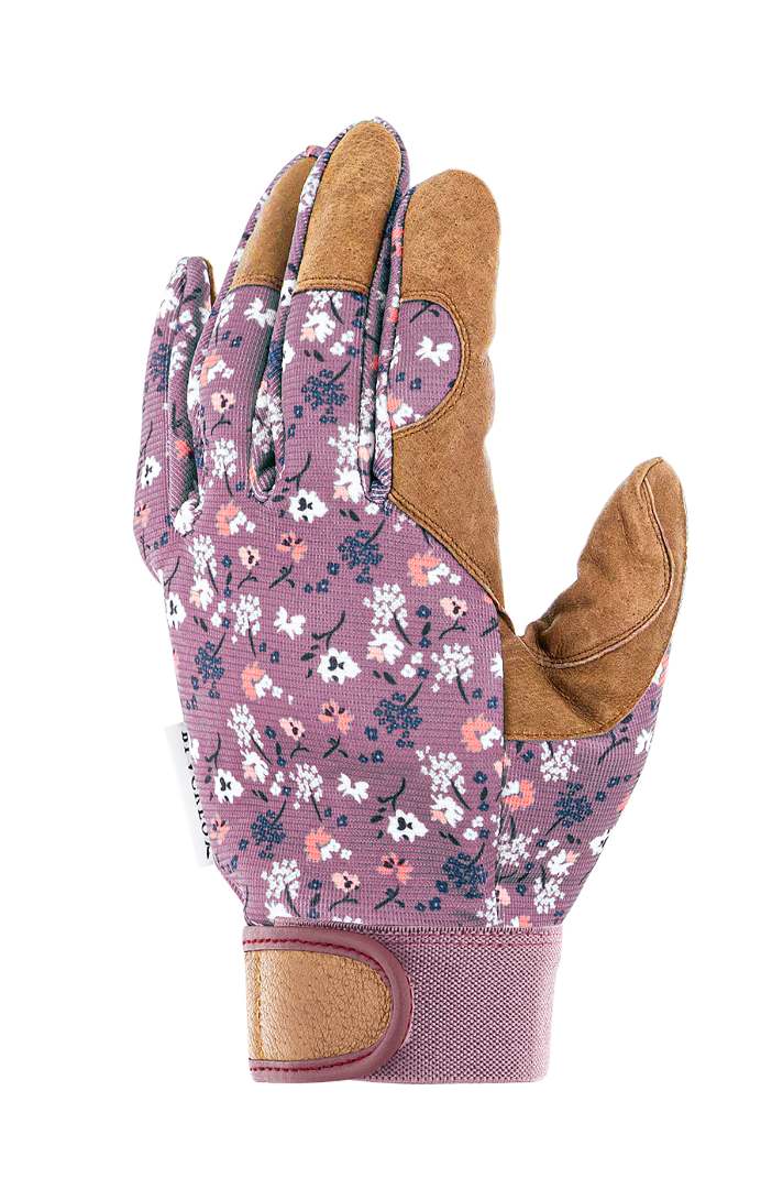 Visuel N°1 du produit rappelé