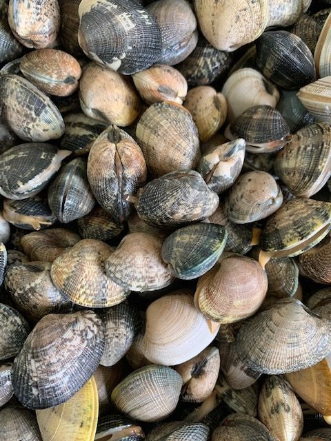 Visuel N°2 du produit rappelé : COQUILLAGES FILTREURS DE L'ETANG DE THAU (Huitres-Moules-Palourdes)