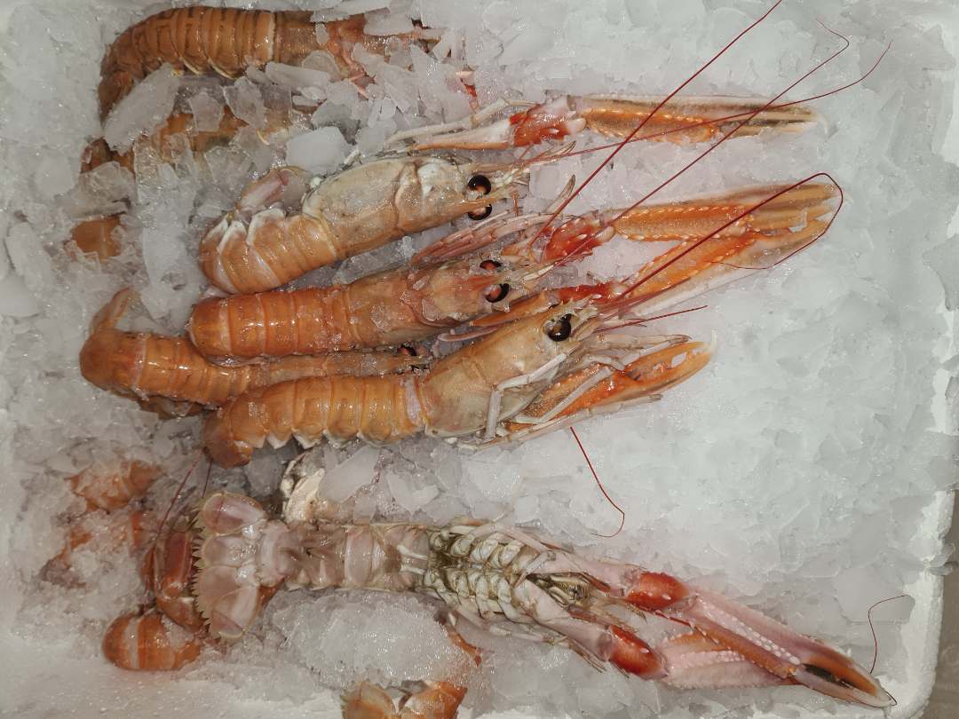 Visuel N°2 du produit rappelé : Langoustines Fraîches Origine Danemark