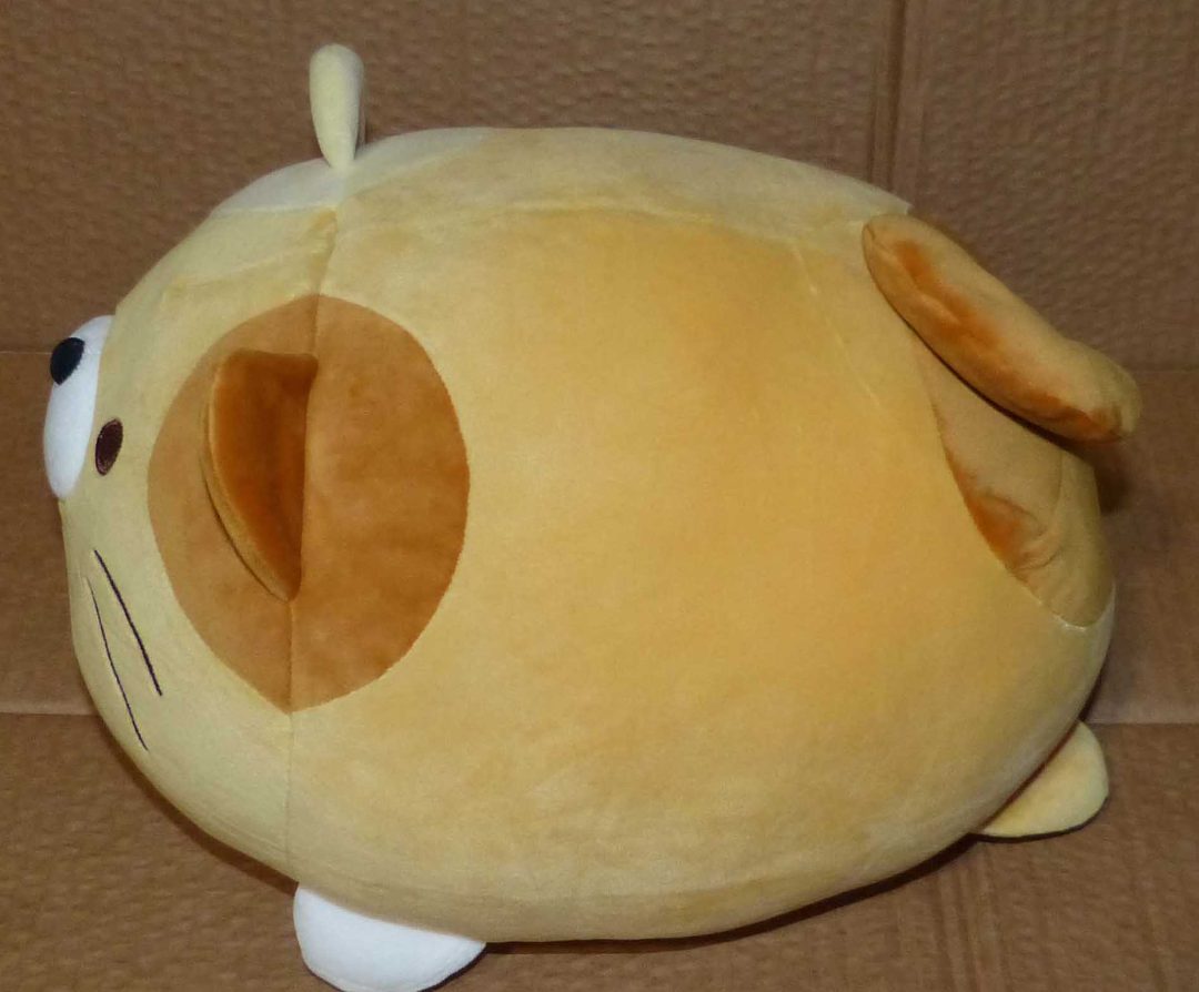 Visuel N°1 du produit rappelé