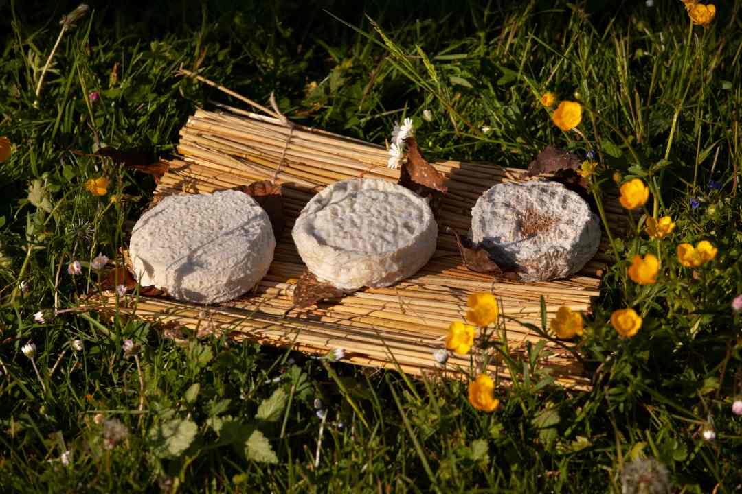 Visuel N°2 du produit rappelé