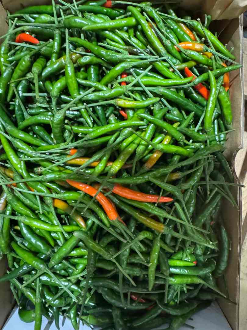 Visuel N°1 du produit rappelé