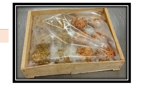 Visuel N°2 du produit rappelé